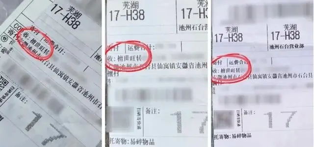 1678591787565379.jpg