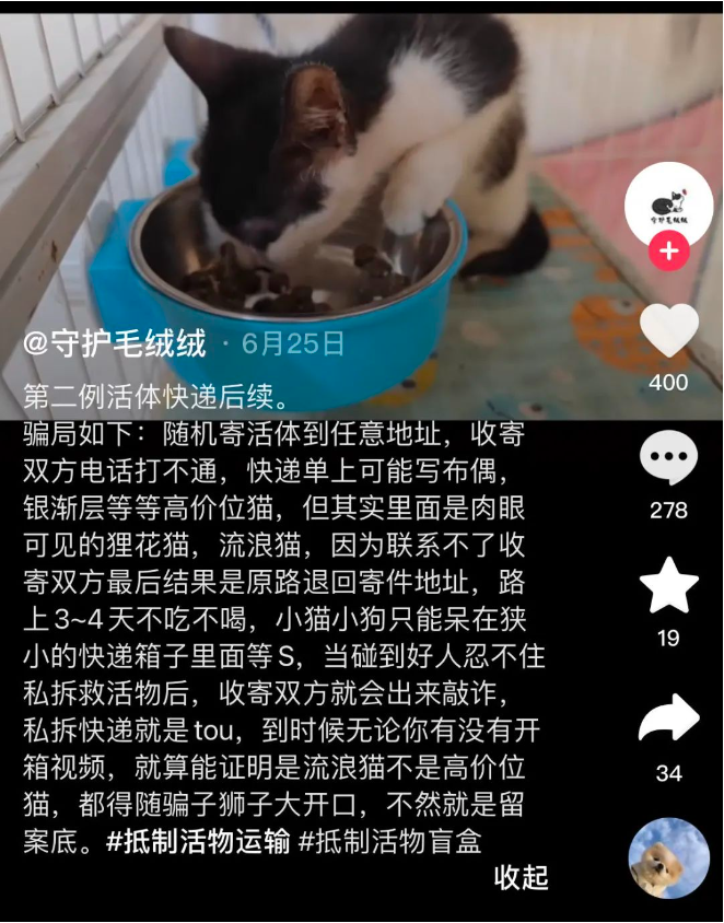 1698288771447638.png
