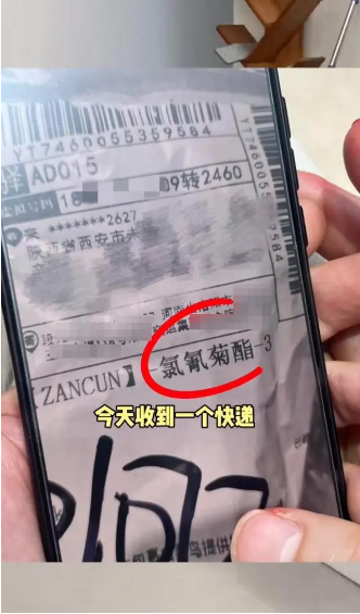 1713930256719095.png