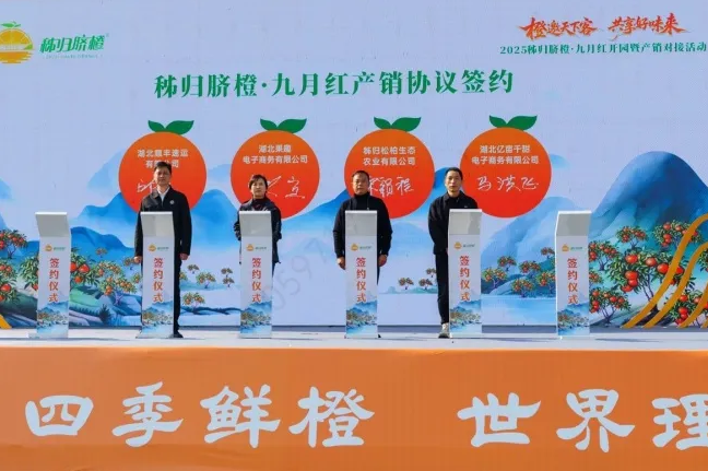 1763347553797179.png 1763347553797179.png