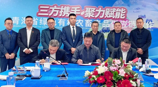 1766629811134702.png 1766629811134702.png