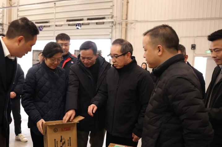 1767581484928376.png 1767581484928376.png