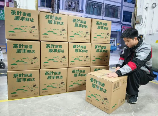 1773626501545666.png 1773626501545666.png