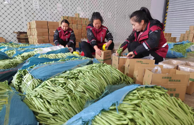 1773711463415434.png 1773711463415434.png