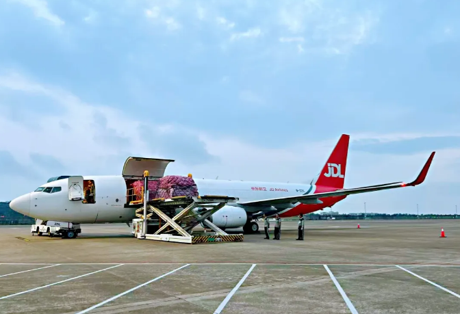 1774939667452355.png 1774939667452355.png